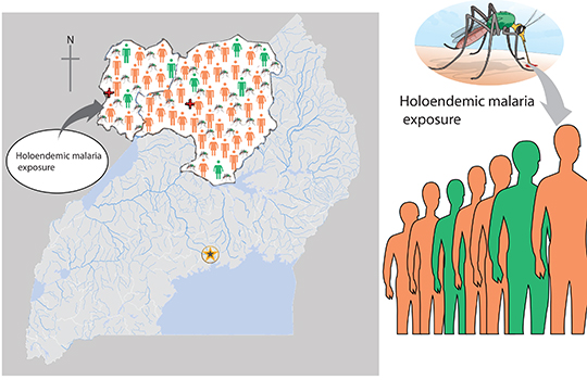 Map showing holoendemic malaria exposure accompanied with a picture of a mosquite targeting people.